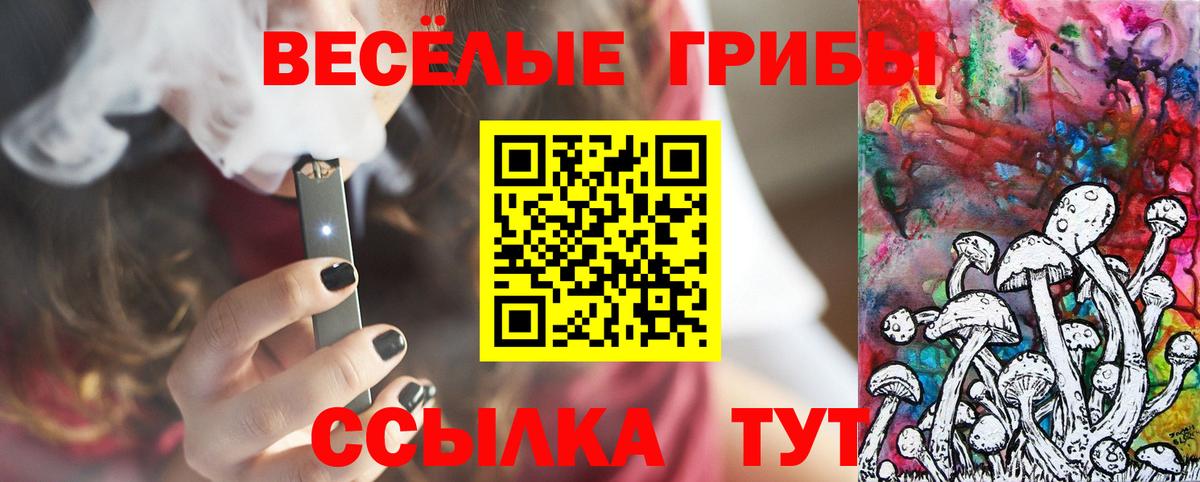 Междуреченск  Галлюциногенные грибы мицелий  Вход с VPN 